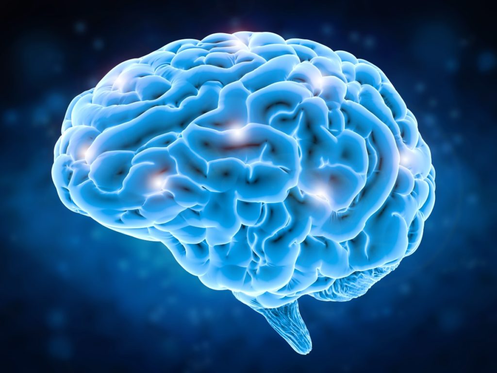 [:en]Psychosis can be caused by brain structure[:]